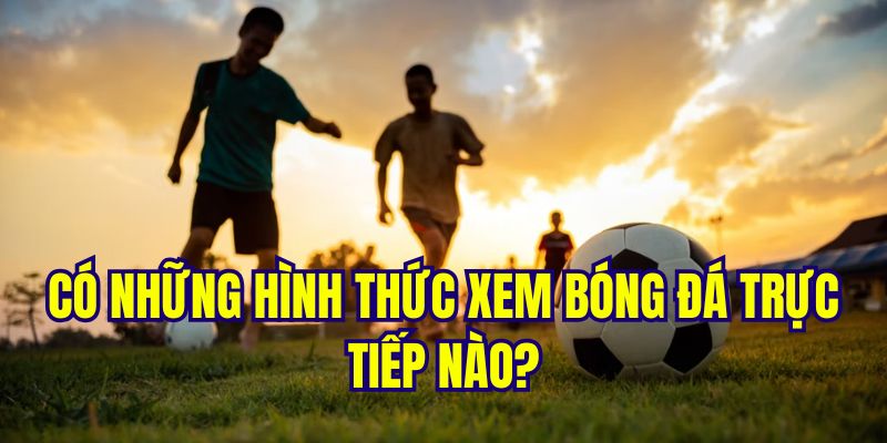 Đa dạng hình thức có thể tham khảo