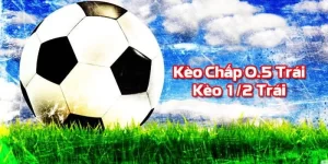 kèo chấp 0.5 là sao