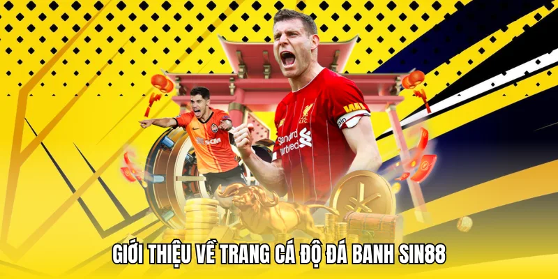 Tổng quan về trang cá độ đá banh Sin88